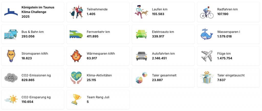 Für die Einbindung der erreichten Leistungen erhält jede Stadt ein Dashboard