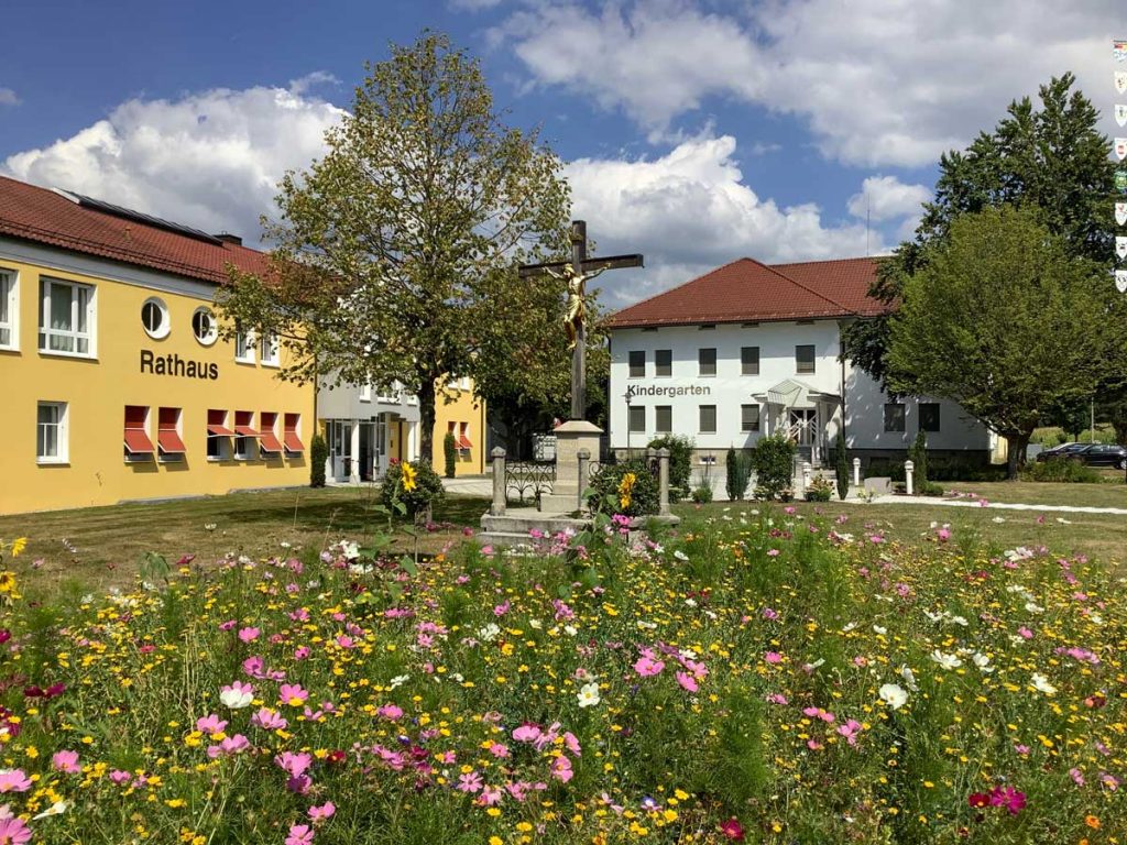 Blühwiese in der Stadt